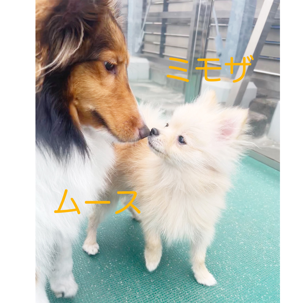 生徒が撮影した写真☆☆☆①